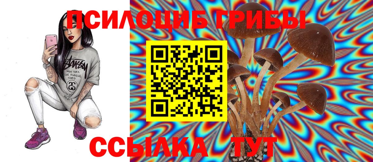 Казань  Псилоцибиновые грибы мицелий  Вход с VPN 
